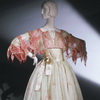 Зандра Роудс 1979 год Зандра Роудс 1979 год