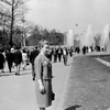 Москва, Сокольники, 1964 г.