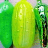 Елочные игрушки