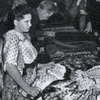 Отдел тканей комбината «Красная Роза» в магазине № 1 главмосторга, 1953 г.