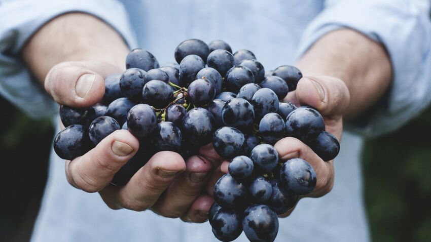 raisin-de-table.jpeg