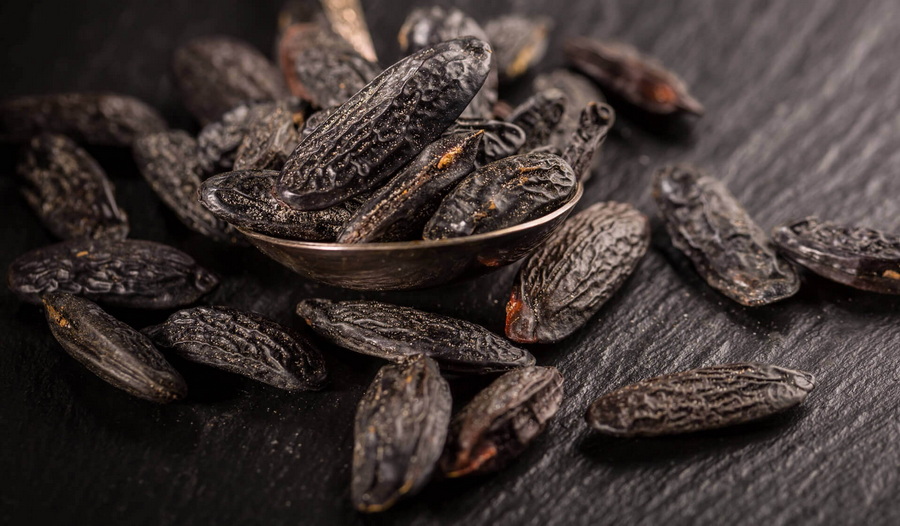 tonka-bean.jpeg tonka-bean.jpeg