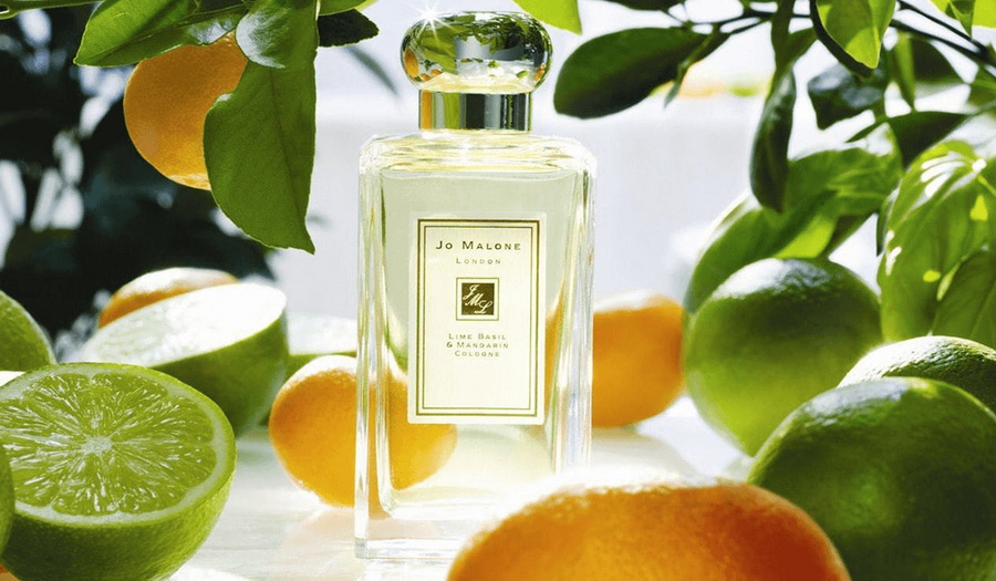 Fragrance.jpg Fragrance.jpg