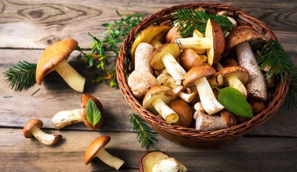 Сезон грибов: какие самые полезные champignons-nos-conseils.jpg