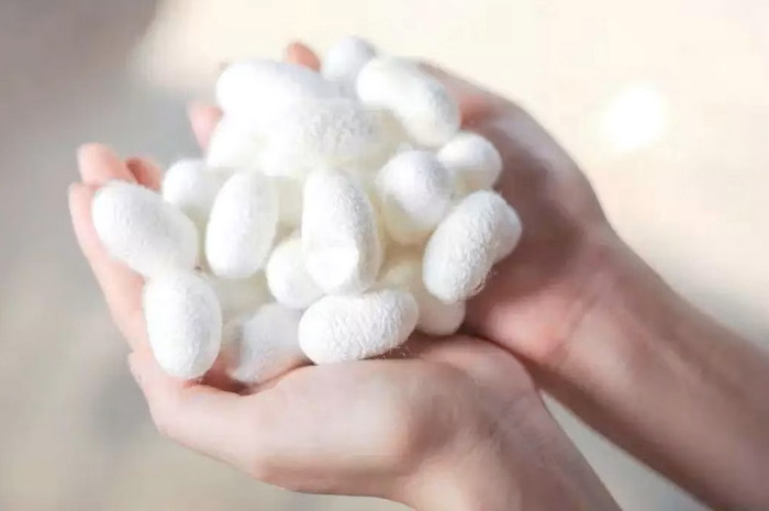 Протеины шелка: идеальная гладкость Hydrolyzed-Silk-Protein-Powderi.jpg