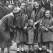 Даффлкот в женской моде, Великобритания, 1946 год